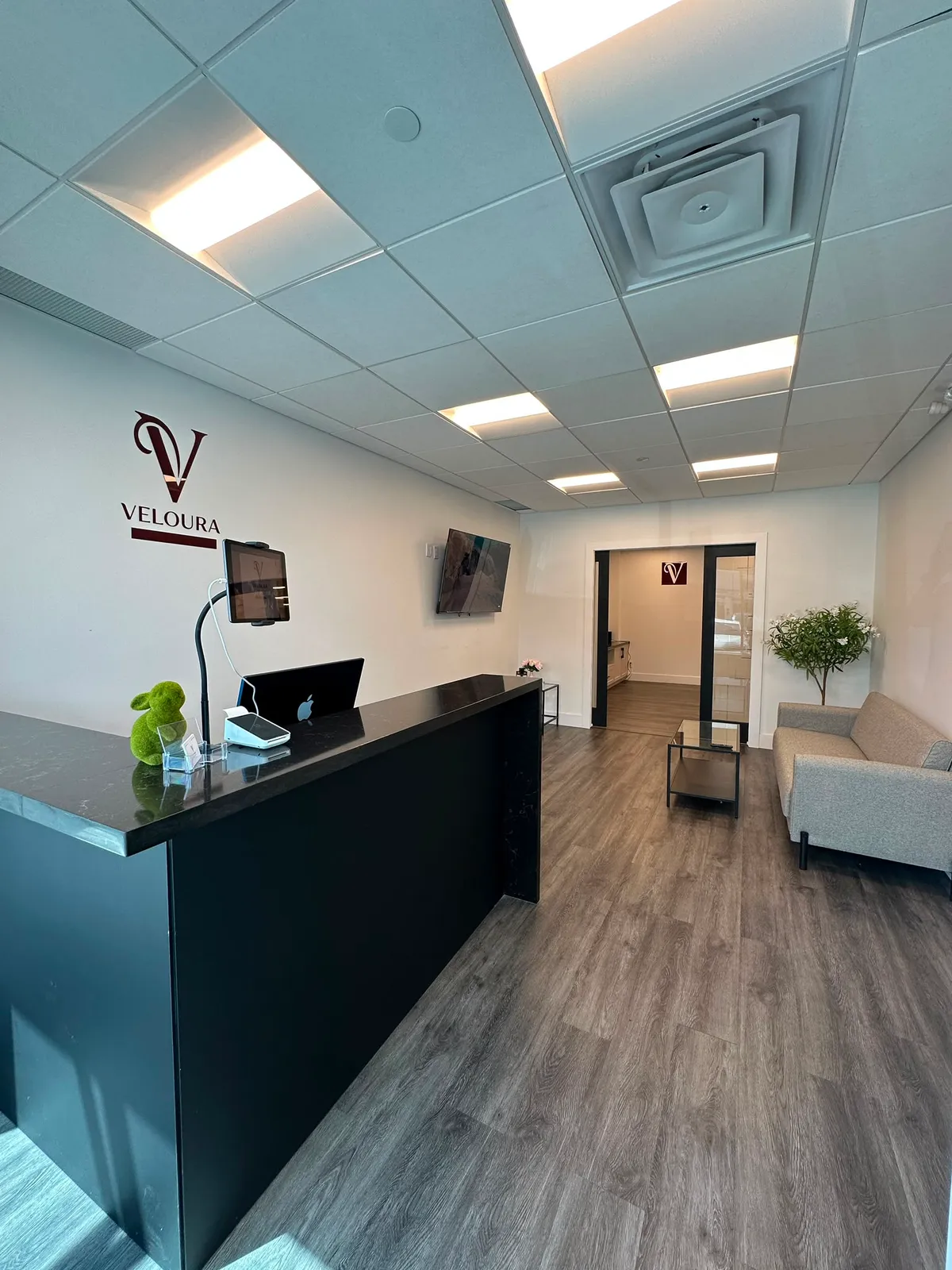 Veloura SugarWax Bar reception in Woodbridge — front desk, logo wall and waiting sofa