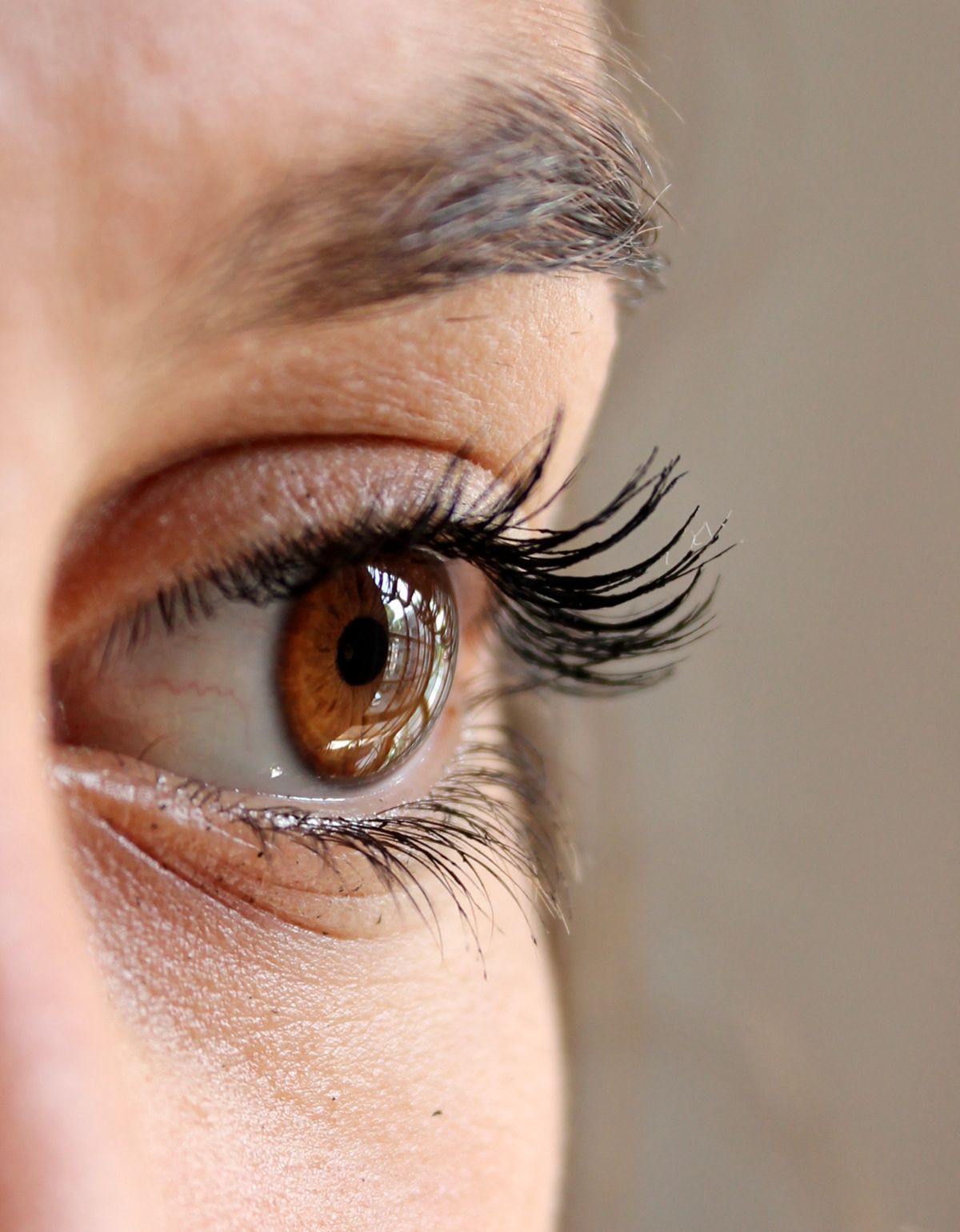 Close-up of dark tinted lashes after a lash tint treatment
